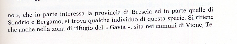 Ci son troppi cervi.........